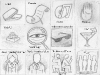 woc-icons-ideas